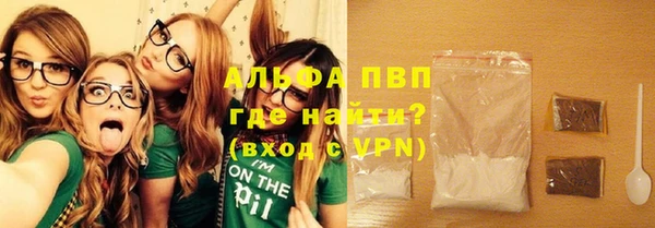 ПСИЛОЦИБИНОВЫЕ ГРИБЫ Сясьстрой