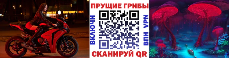 Галлюциногенные грибы прущие грибы mega маркетплейс Малая Вишера